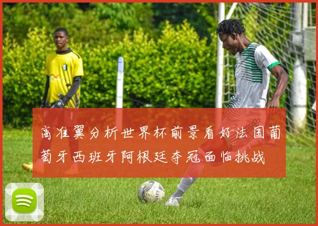 高准翼分析世界杯前景看好法国葡萄牙西班牙阿根廷夺冠面临挑战