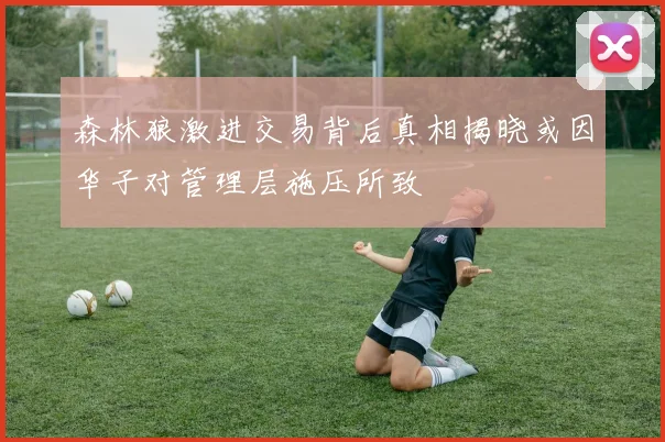 森林狼激进交易背后真相揭晓或因华子对管理层施压所致